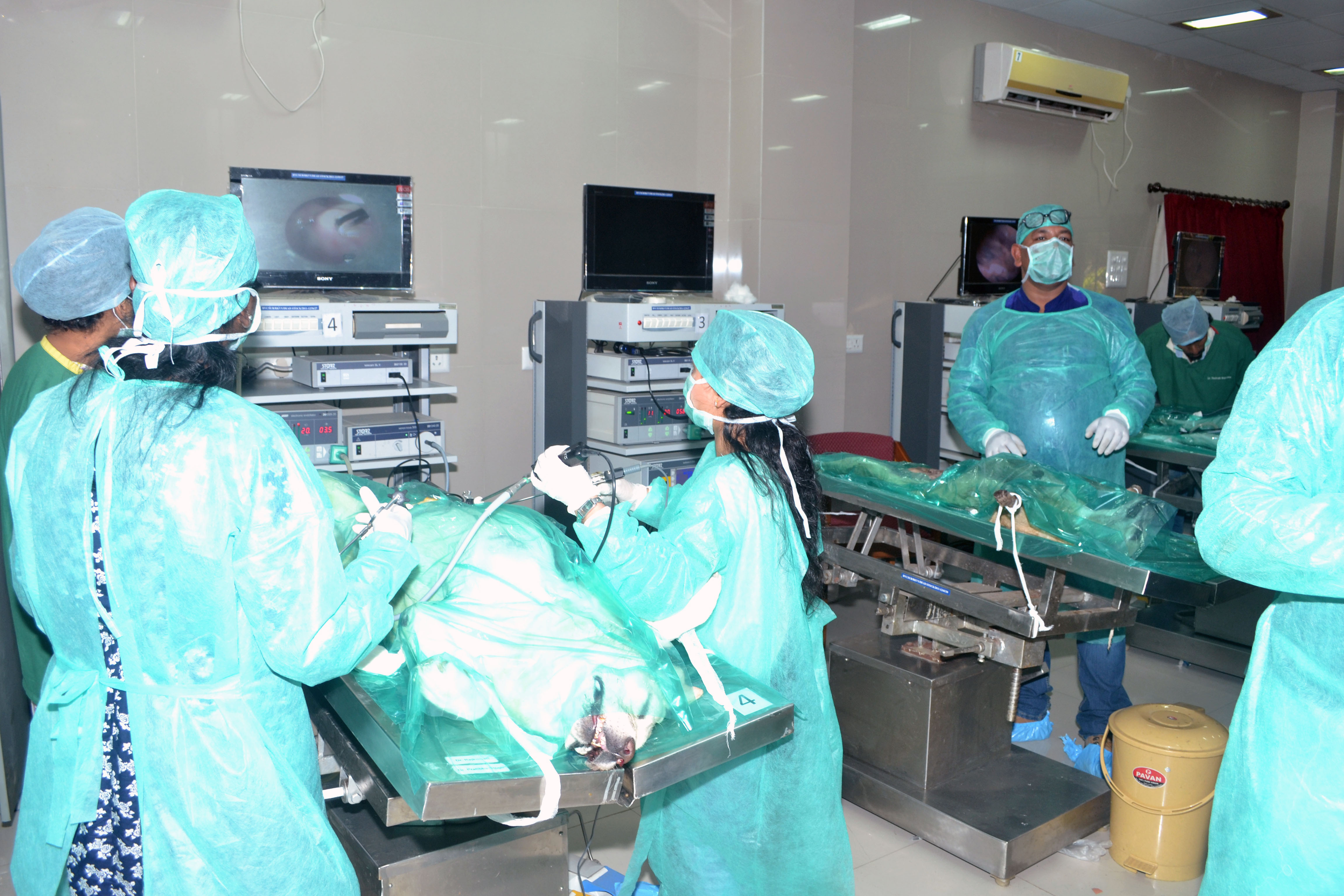 Wet Lab For Uttarakhand Vets